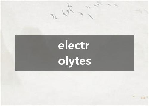 electrolytes是什么意思