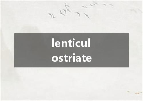 lenticulostriate是什么意思