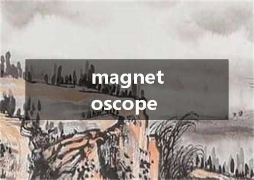 magnetoscope是什么意思