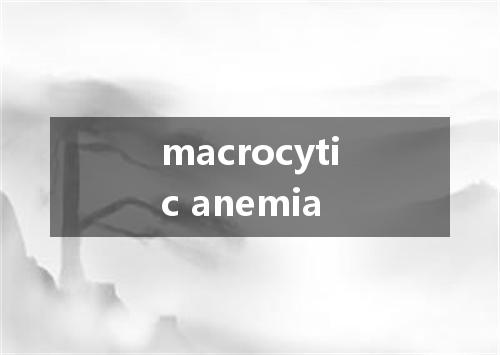 macrocytic anemia是什么意思