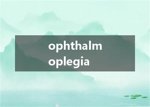 ophthalmoplegia是什么意思