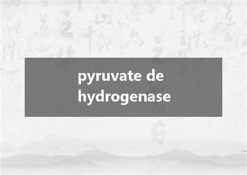 pyruvate dehydrogenase是什么意思