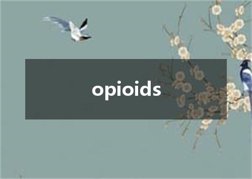 opioids是什么意思