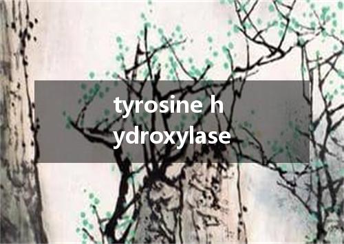 tyrosine hydroxylase是什么意思