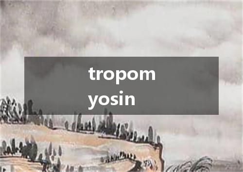 tropomyosin是什么意思