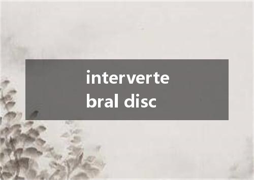 intervertebral disc是什么意思