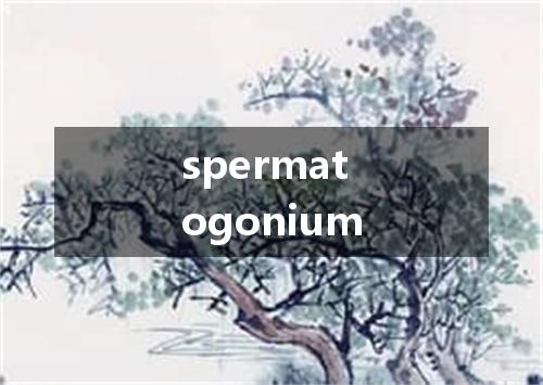 spermatogonium是什么意思
