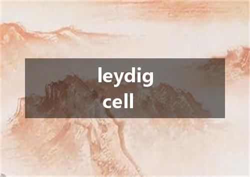 leydig cell是什么意思