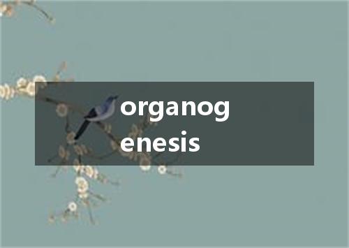 organogenesis是什么意思
