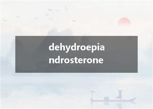 dehydroepiandrosterone是什么意思