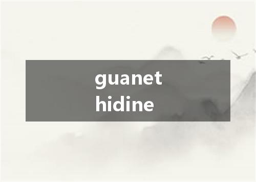 guanethidine是什么意思