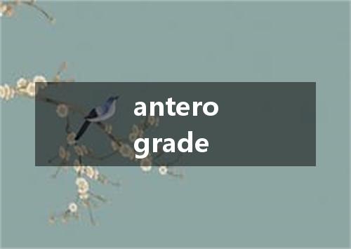 anterograde是什么意思