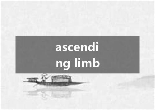 ascending limb是什么意思