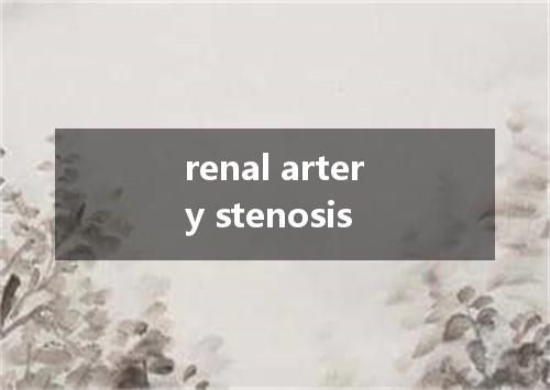 renal artery stenosis是什么意思