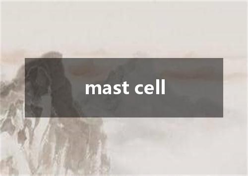 mast cell是什么意思