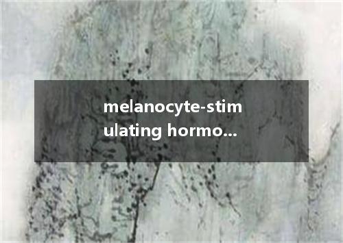melanocyte-stimulating hormone是什么意思