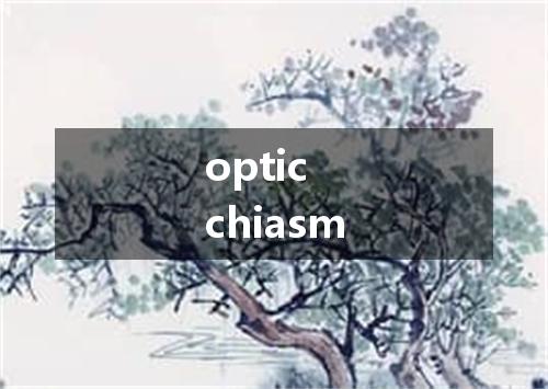 optic chiasm是什么意思