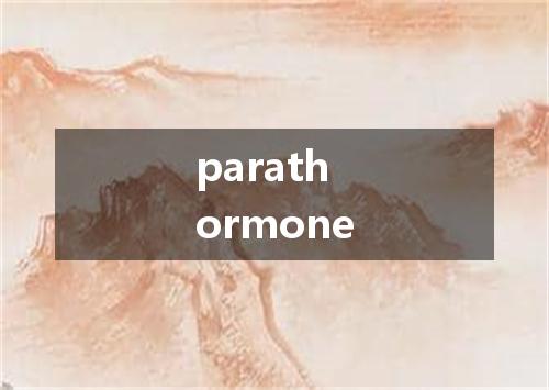 parathormone是什么意思