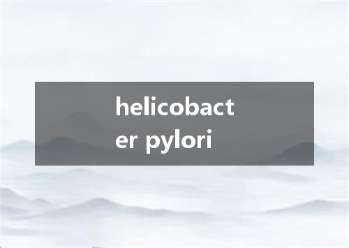 helicobacter pylori是什么意思