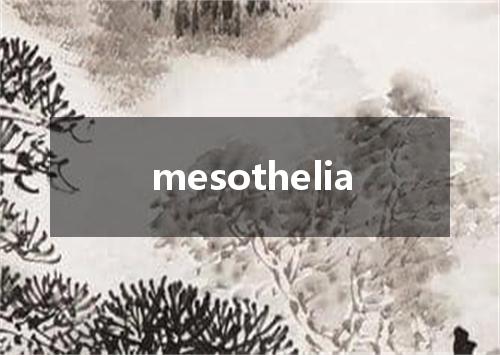mesothelia是什么意思