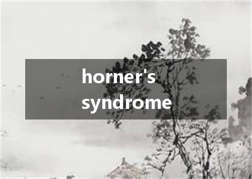horner's syndrome是什么意思