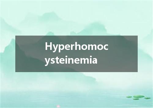 Hyperhomocysteinemia是什么意思