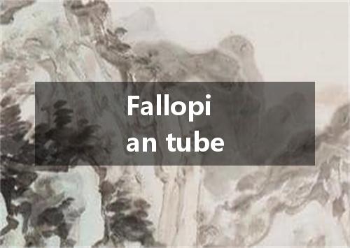 Fallopian tube是什么意思