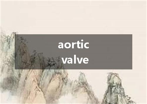 aortic valve是什么意思