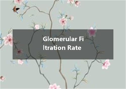 Glomerular Filtration Rate是什么意思