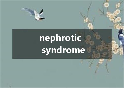 nephrotic syndrome是什么意思