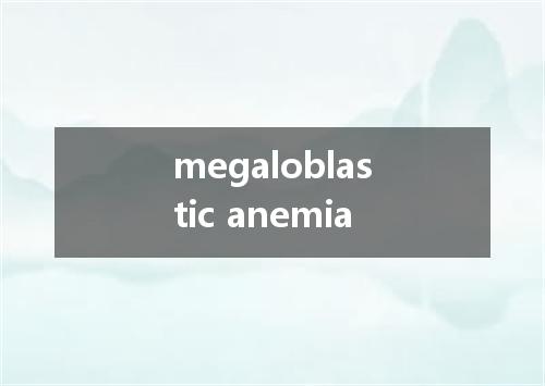 megaloblastic anemia是什么意思