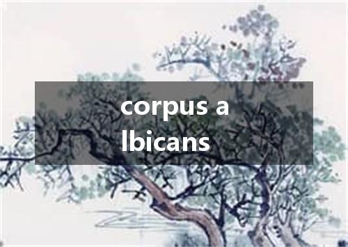 corpus albicans是什么意思