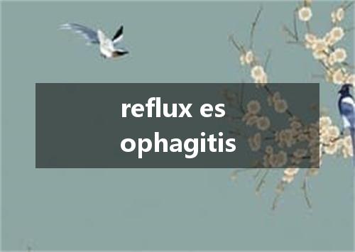 reflux esophagitis是什么意思