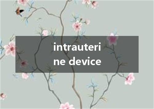 intrauterine device是什么意思
