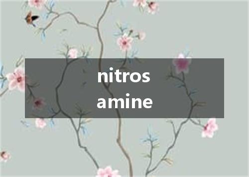 nitrosamine是什么意思