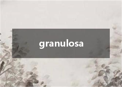 granulosa是什么意思