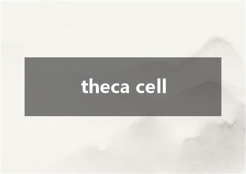 theca cell是什么意思