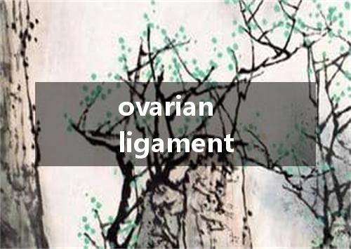 ovarian ligament是什么意思