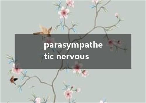 parasympathetic nervous是什么意思