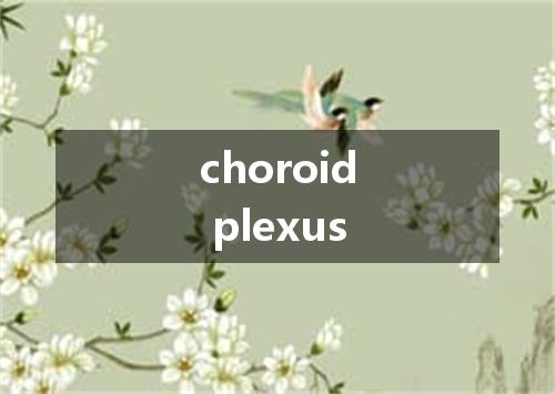 choroid plexus是什么意思