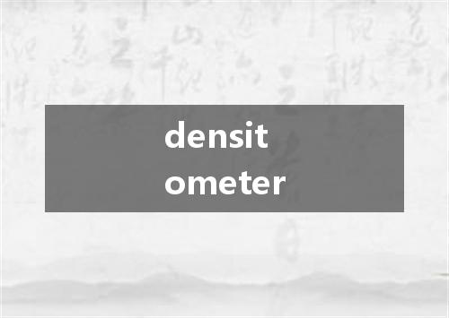 densitometer是什么意思