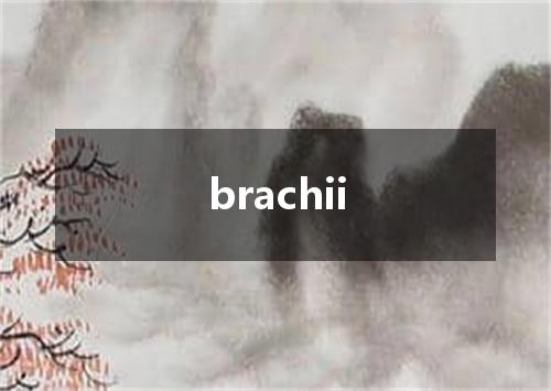 brachii是什么意思