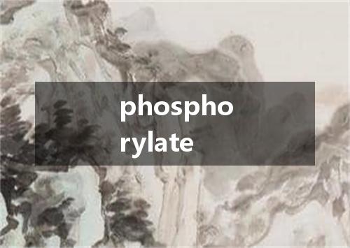 phosphorylate是什么意思