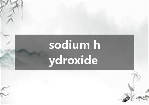 sodium hydroxide是什么意思