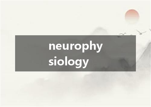 neurophysiology是什么意思