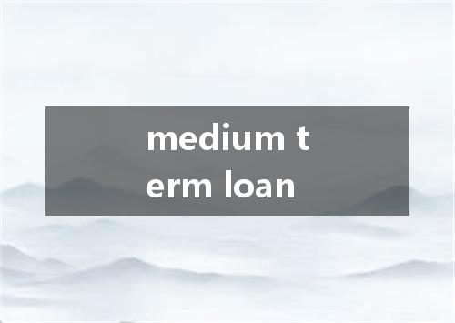 medium term loan是什么意思