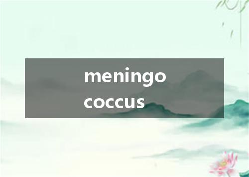 meningococcus是什么意思