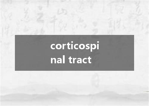 corticospinal tract是什么意思