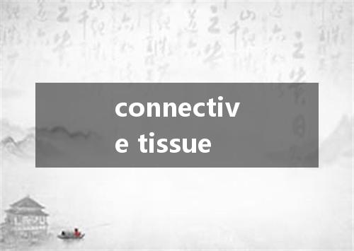 connective tissue是什么意思