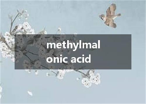 methylmalonic acid是什么意思